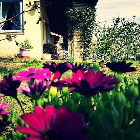 Borgo Campanile Alloggio per agriturismo