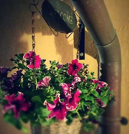 Borgo Campanile Montefiascone